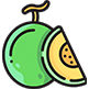Dibuix d'un meló